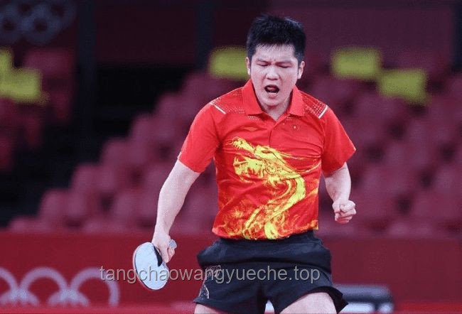 樊振东6月乒超出战与海外联赛选择的对比分析：机遇、挑战与未来展望